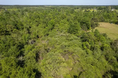 0 Pine View Rd, Collins, MS 39428 photo 23