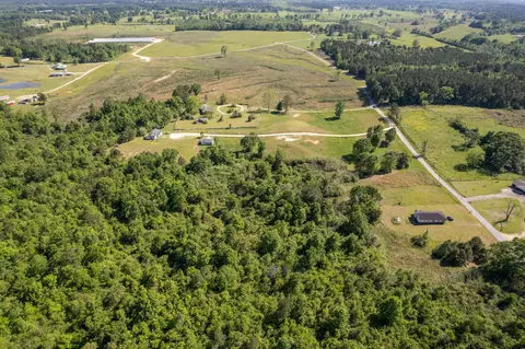 0 Pine View Rd, Collins, MS 39428 photo 19