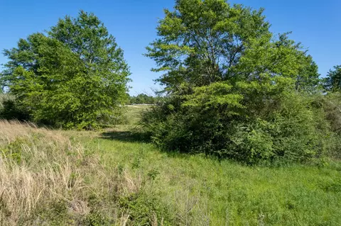 0 Pine View Rd, Collins, MS 39428 photo 11