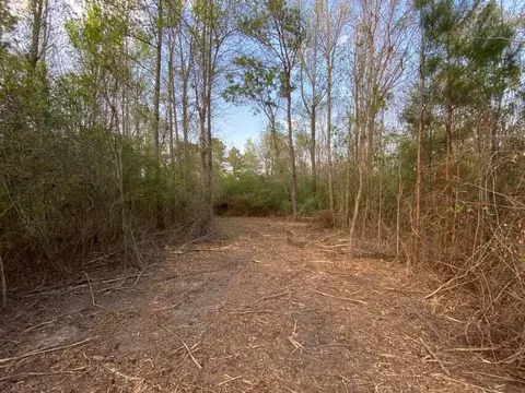 11 Acres Ed Reid, Lumberton, MS 39455