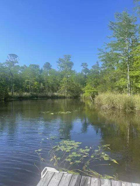 3512 Hawk Dr, Vancleave, MS 39565 photo 3
