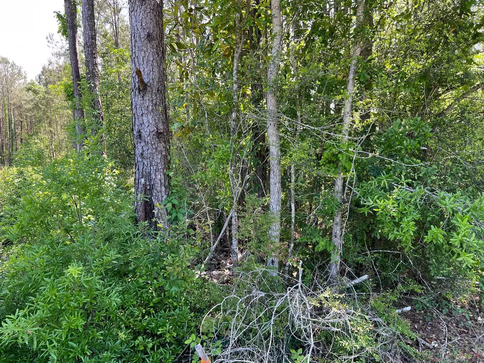  0 Travis Rd, Hattiesburg, MS 39401 photo 3