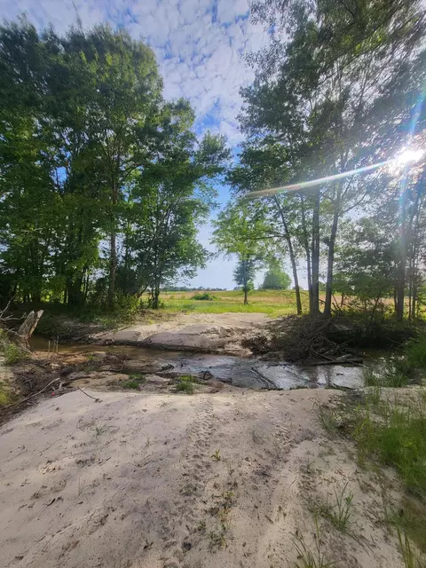 2842 Ms-35, Mount Olive, MS 39119 photo 13