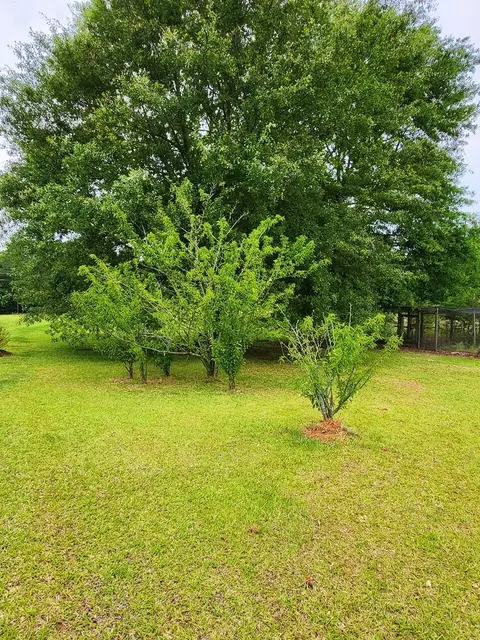 2842 Ms-35, Mount Olive, MS 39119 photo 4