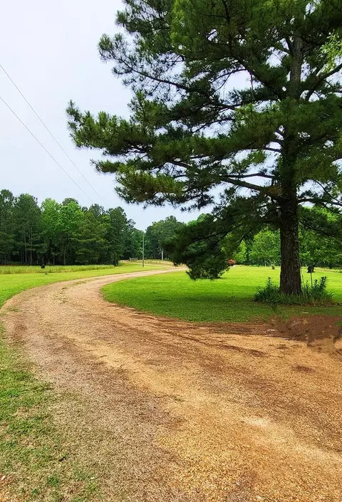 2842 Ms-35, Mount Olive, MS 39119 photo 5