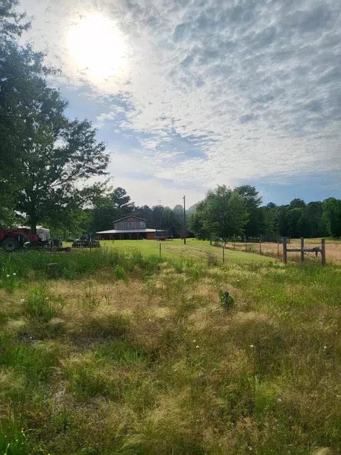 2842 Ms-35, Mount Olive, MS 39119 photo 9
