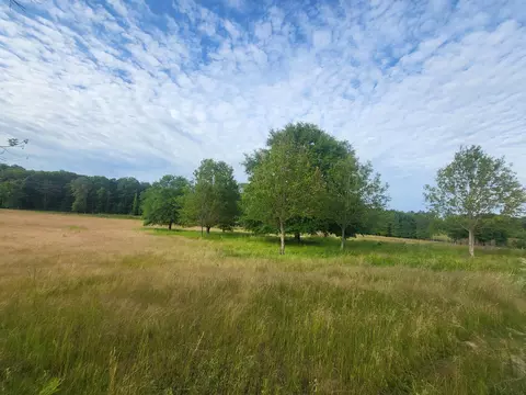 2842 Ms-35, Mount Olive, MS 39119 photo 10
