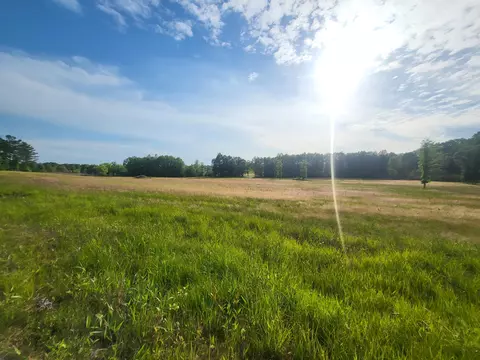 2842 Ms-35, Mount Olive, MS 39119 photo 14