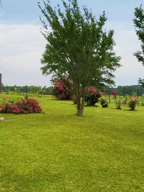 2842 Ms-35, Mount Olive, MS 39119 photo 2