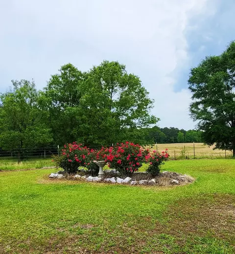 2842 Ms-35, Mount Olive, MS 39119 photo 3