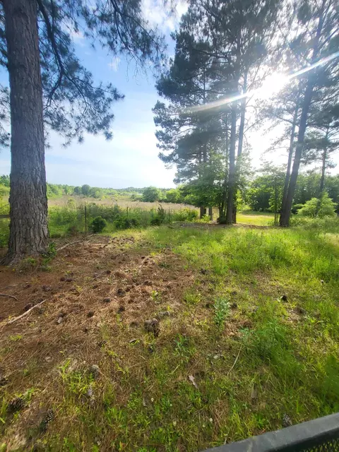 2842 Ms-35, Mount Olive, MS 39119 photo 35
