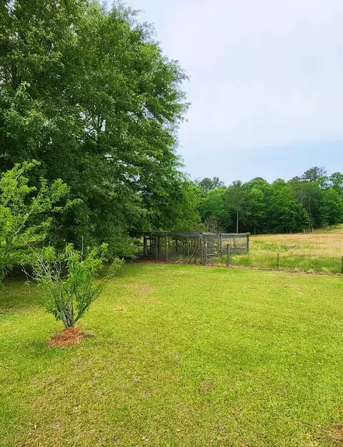 2842 Ms-35, Mount Olive, MS 39119 photo 7