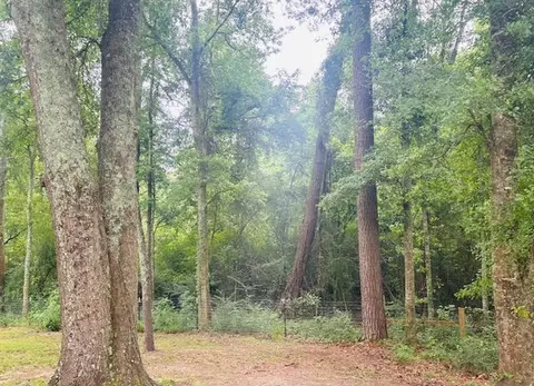 38 Jeff Byrd, Laurel, MS 39443 photo 15