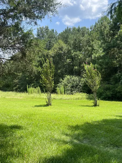 14 Lowell Garner Ln, Carson, MS 39427 photo 20