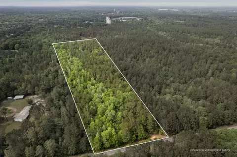 Parcel 4 13.94 Acres Mol Dubose Rd., Lumberton, MS 39455