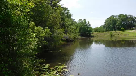 lot Apt 22 Stone Hollow Trce, Carriere, MS 39426