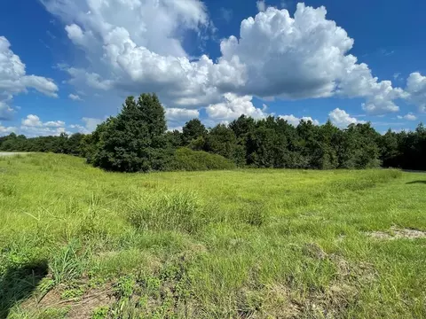 0 Cactus Dr, Laurel, MS 39443