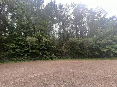 60 Ashbury Pl, Columbia, MS 39429