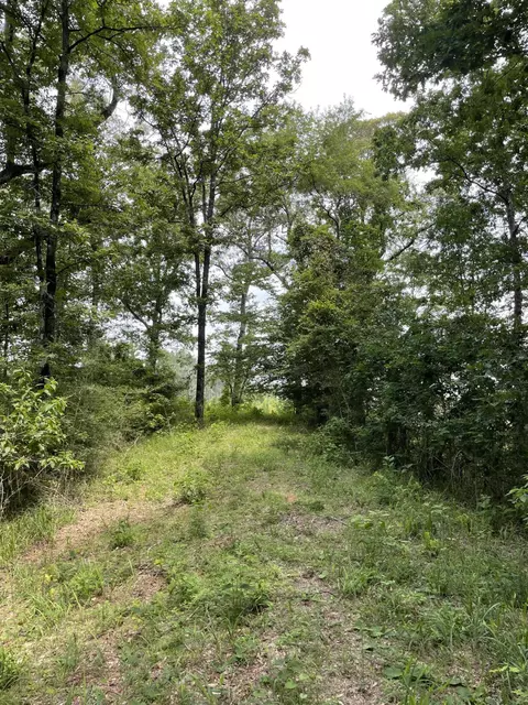 0 Divide Rd, Jayess, MS 39641 photo 9