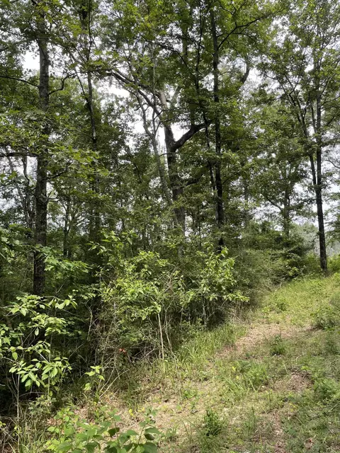0 Divide Rd, Jayess, MS 39641 photo 10