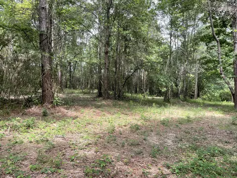 0 Divide Rd, Jayess, MS 39641 photo 3