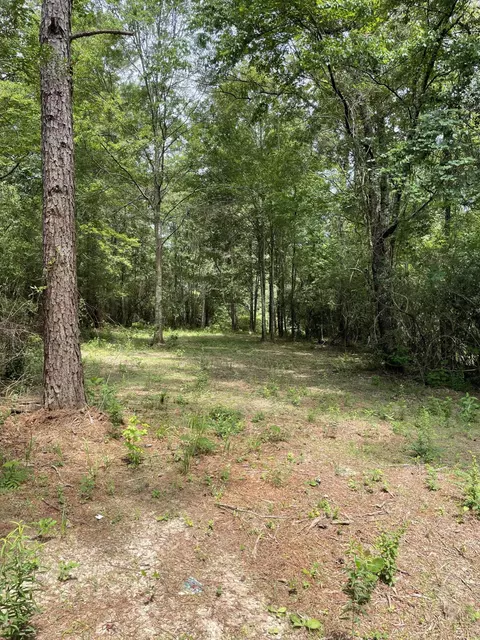 0 Divide Rd, Jayess, MS 39641