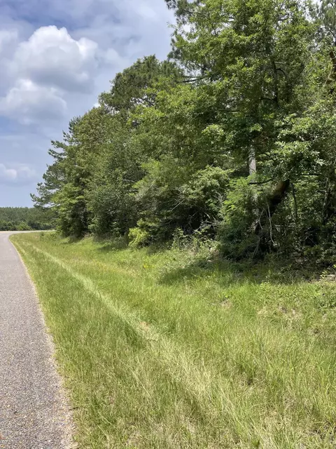 0 Divide Rd, Jayess, MS 39641 photo 2