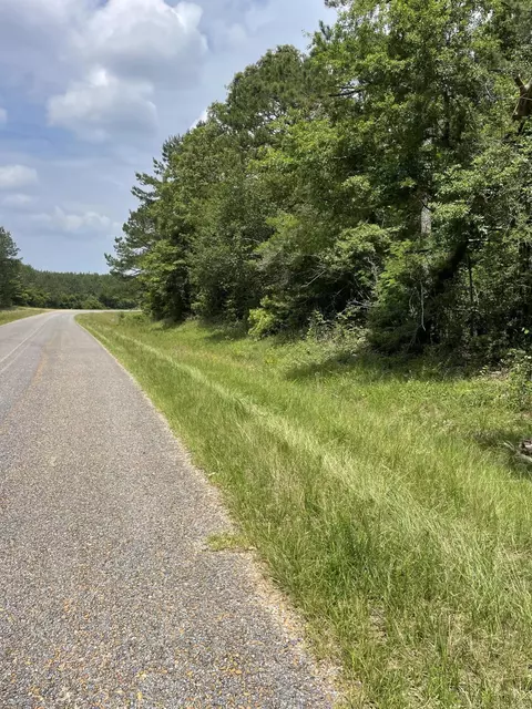 0 Divide Rd, Jayess, MS 39641 photo 11