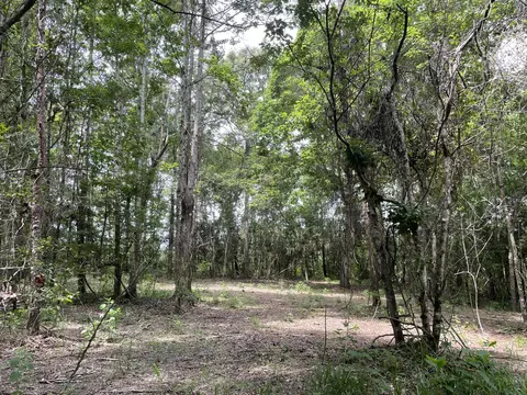 0 Divide Rd, Jayess, MS 39641 photo 5