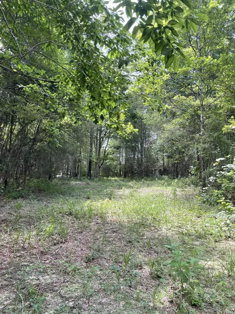0 Divide Rd, Jayess, MS 39641 photo 7