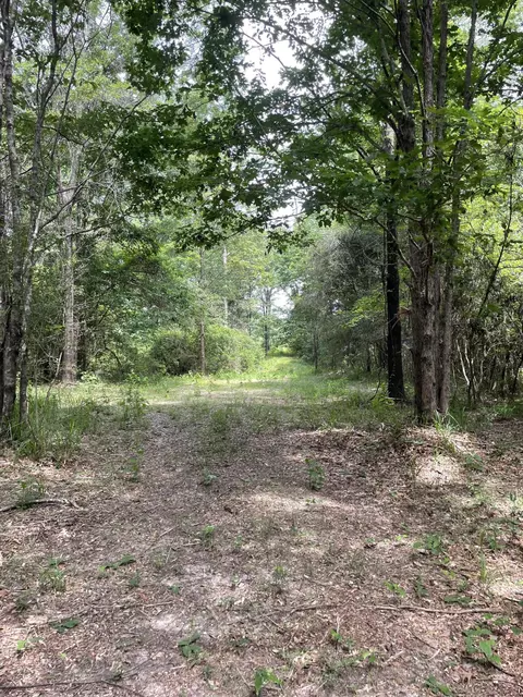 0 Divide Rd, Jayess, MS 39641 photo 4