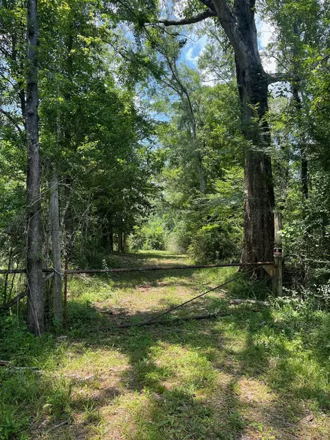 0 E Main St, Mclain, MS 39456 photo 10