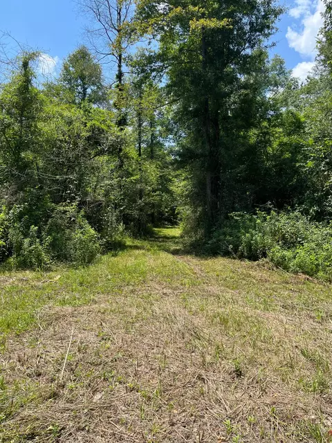 0 E Main St, Mclain, MS 39456 photo 16