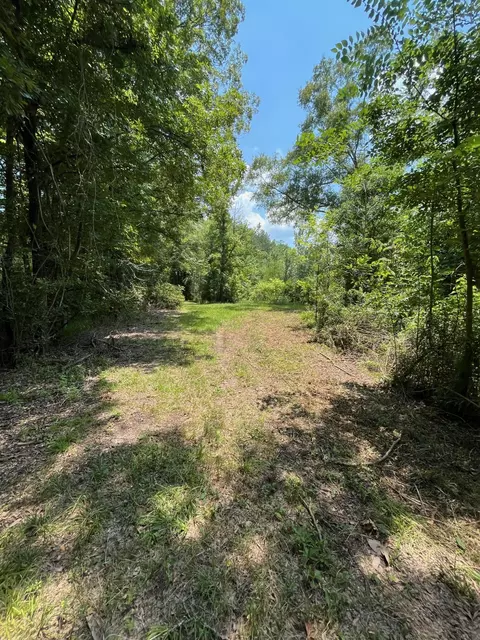 0 E Main St, Mclain, MS 39456 photo 14