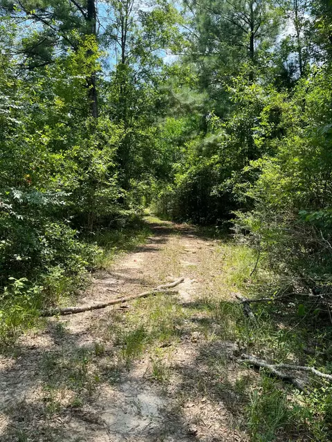 0 E Main St, Mclain, MS 39456 photo 15