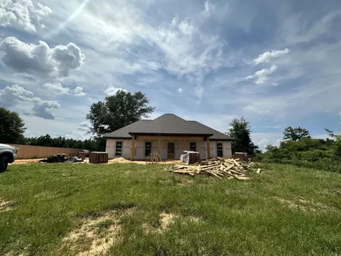 1498 Scr 67, Mize, MS 39116 photo 31