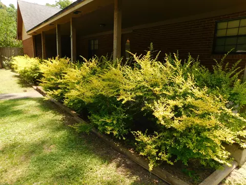 720 Ladner St, Purvis, MS 39475 photo 34