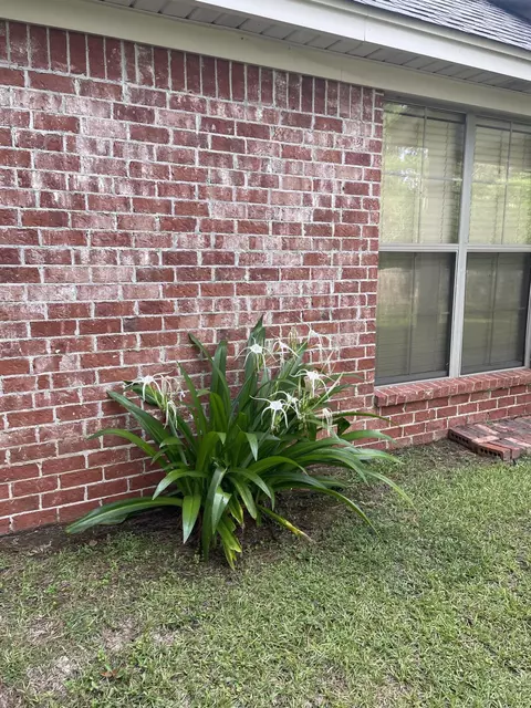 40 E Adam, Sumrall, MS 39482 photo 7
