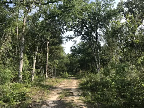 0 Old River Rd, Petal, MS 39465