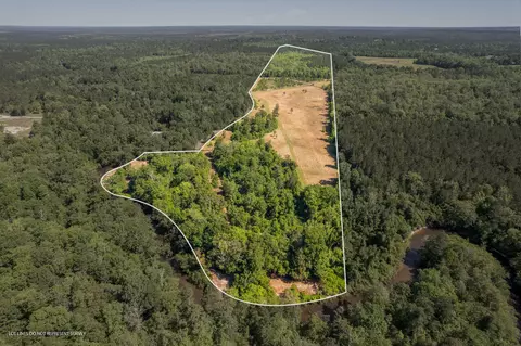 115 Gogo Rd, Poplarville, MS 39470