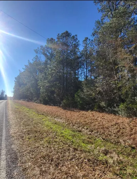 00 Cooley Springs Rd, Mount Olive, MS 39119 photo 3