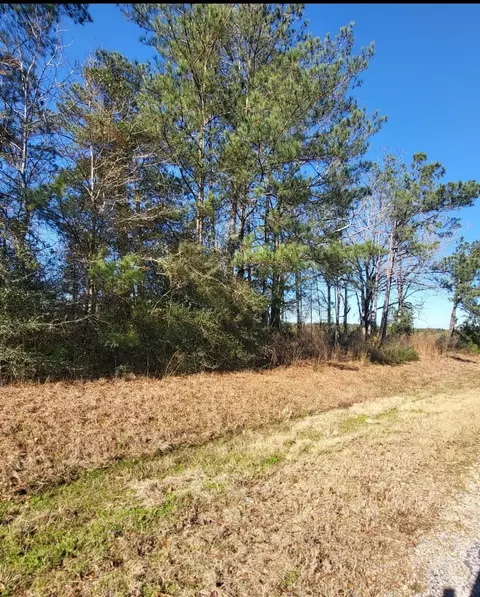 00 Cooley Springs Rd, Mount Olive, MS 39119