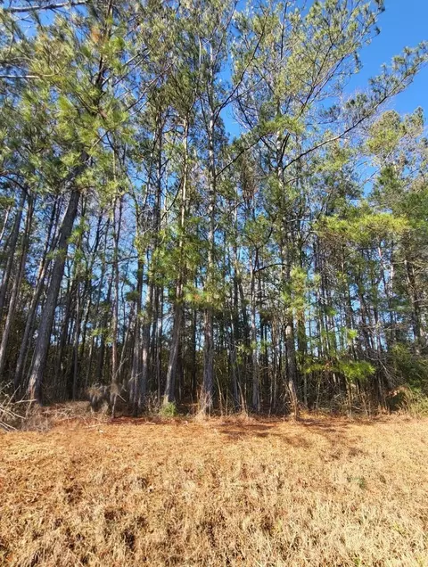 00 Cooley Springs Rd, Mount Olive, MS 39119 photo 2