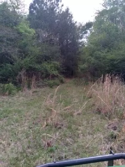 000 Lowell Garner Rd, Carson, MS 39427 photo 5