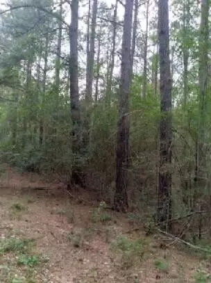 000 Lowell Garner Rd, Carson, MS 39427 photo 2