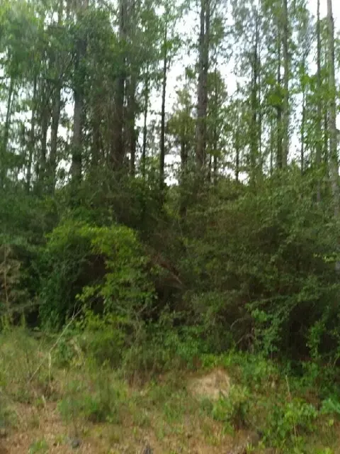 000 Lowell Garner Rd, Carson, MS 39427 photo 3