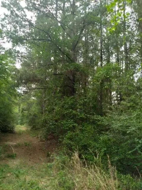 000 Lowell Garner Rd, Carson, MS 39427 photo 4