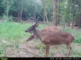00 Hwy 27, Monticello, MS 39654