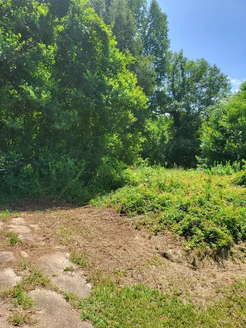 lot254 Petal Dr, Petal, MS 39465