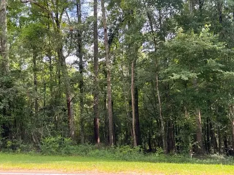 734 Epley Rd, Sumrall, MS 39482 photo 3